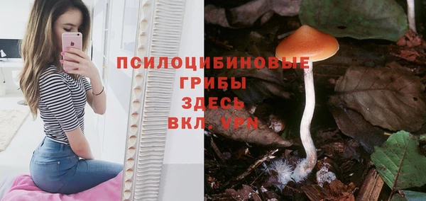 марки lsd Алексин