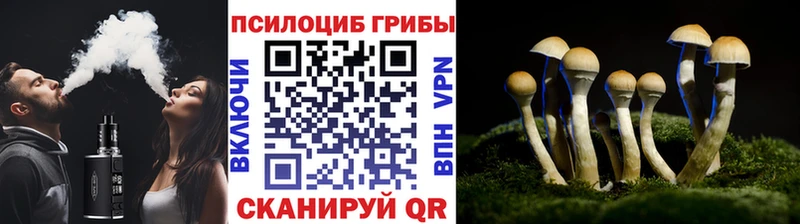 Псилоцибиновые грибы Cubensis Иланский